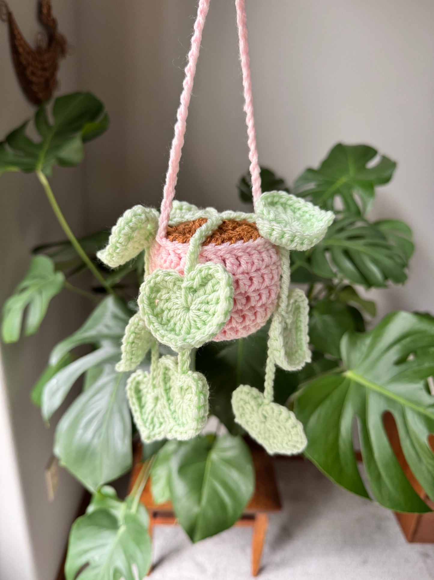 String of Hearts Plant