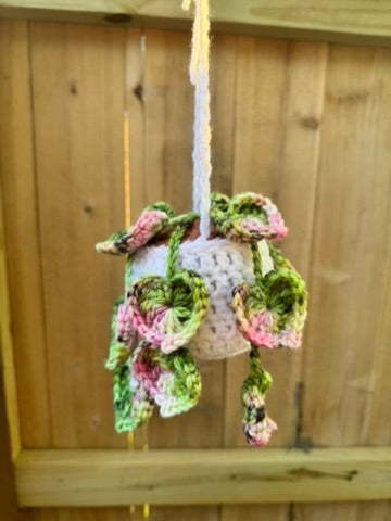 String of Hearts Hanging Plant