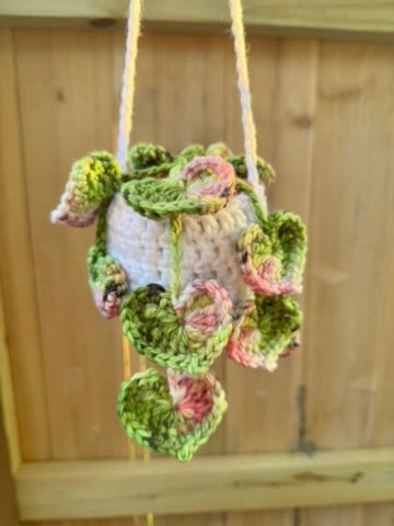 String of Hearts Hanging Plant