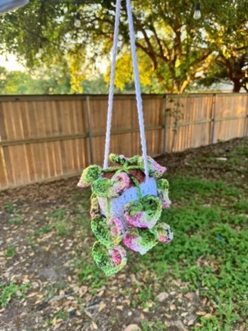String of Hearts Hanging Plant