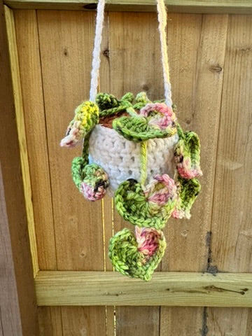 String of Hearts Hanging Plant