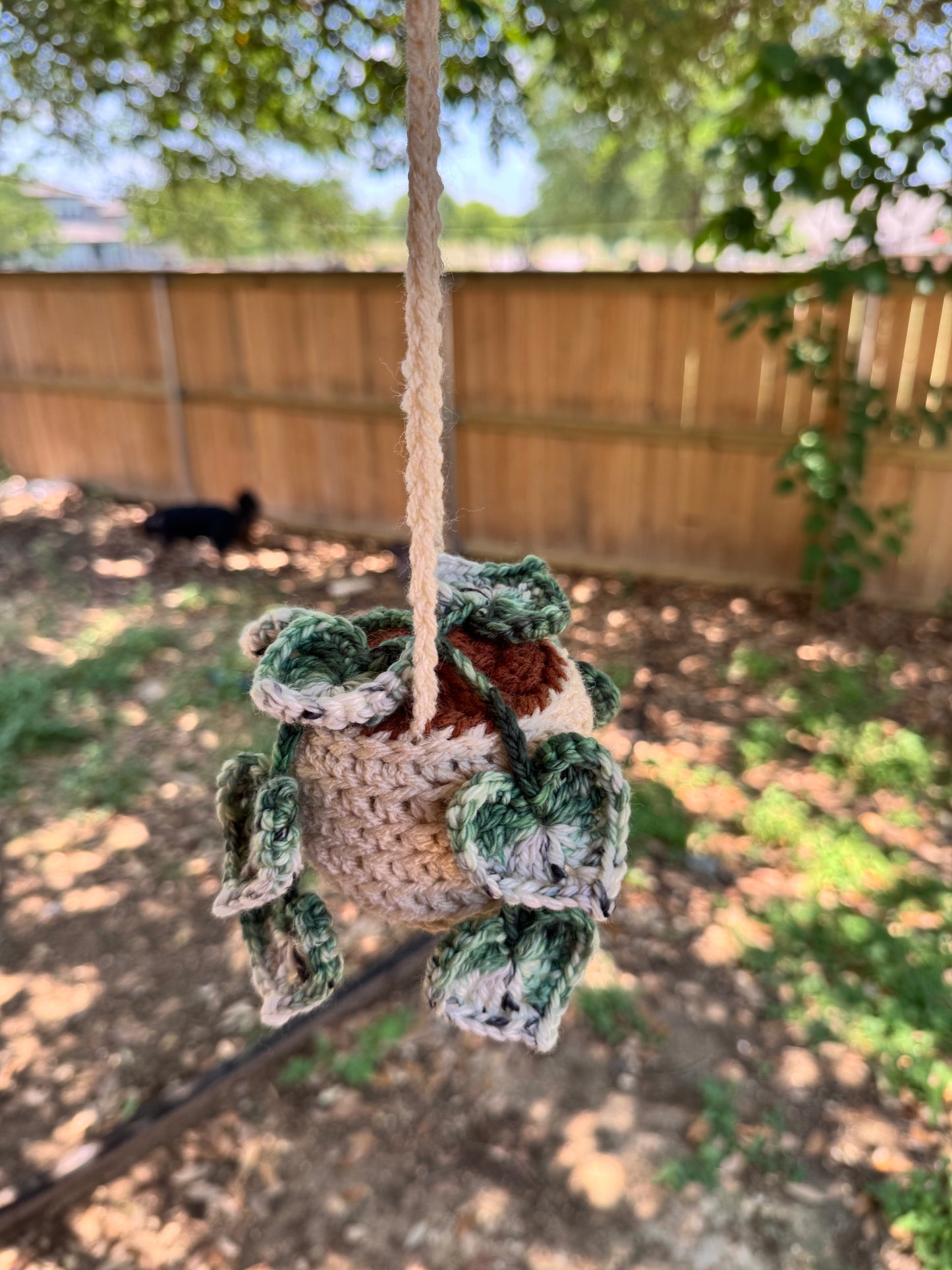 String of Hearts Crochet Plant