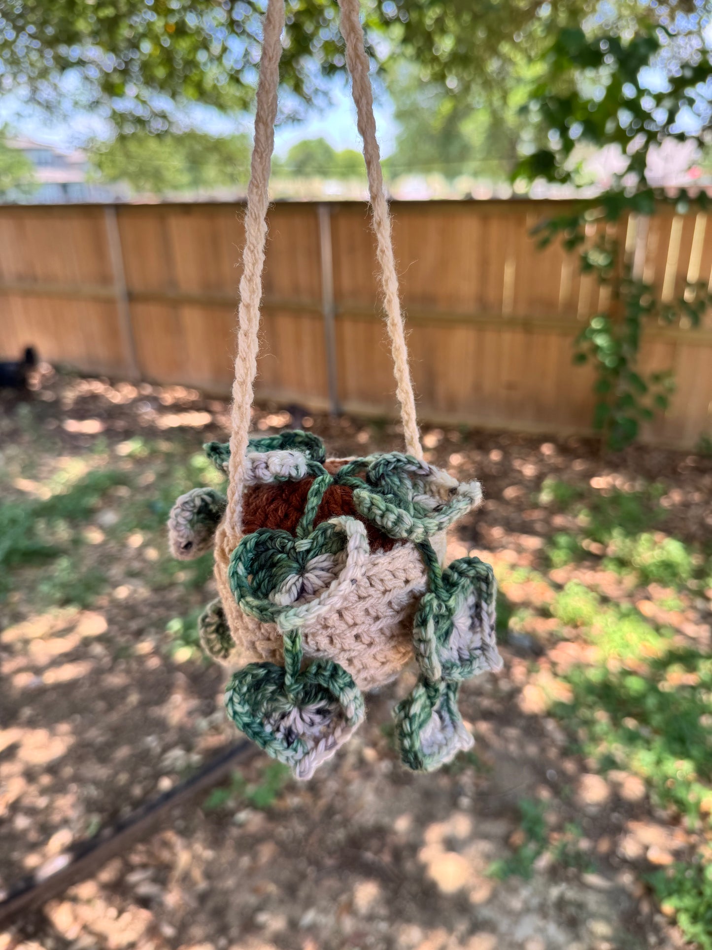 String of Hearts Crochet Plant