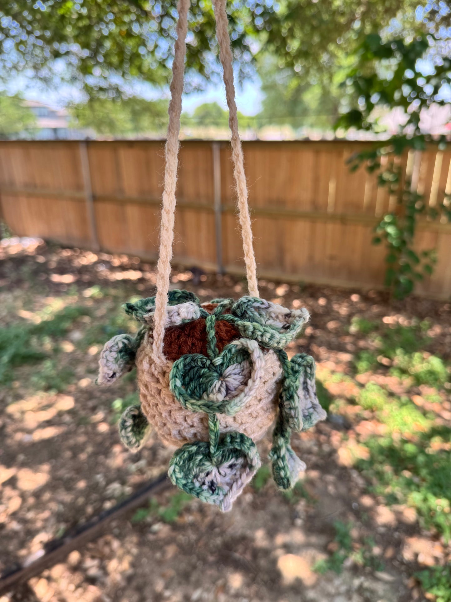 String of Hearts Crochet Plant
