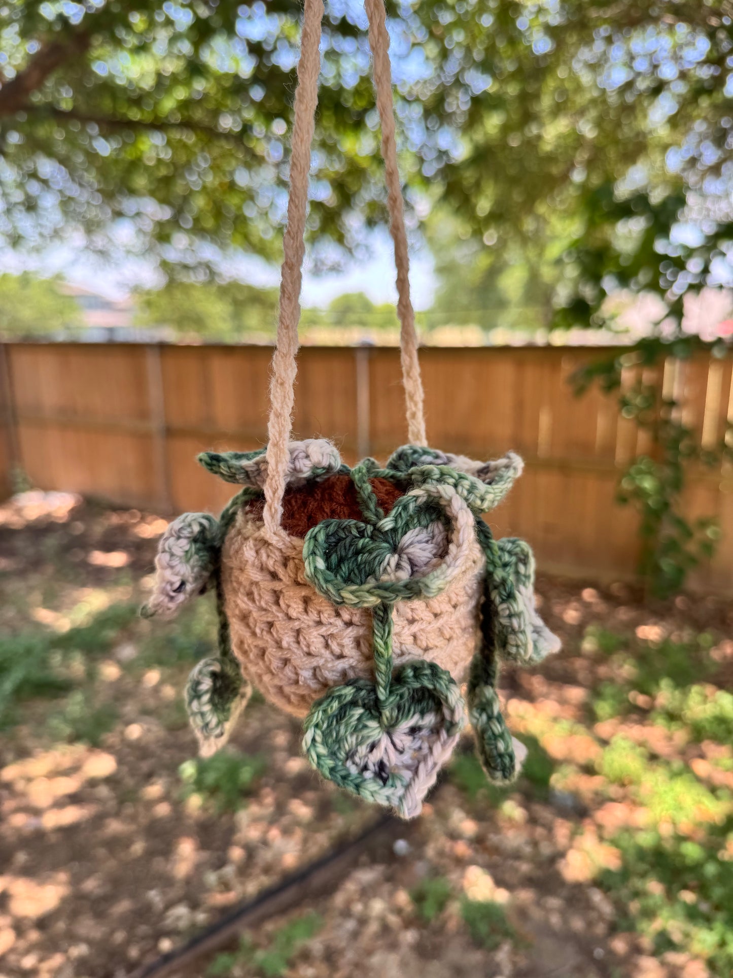 String of Hearts Crochet Plant