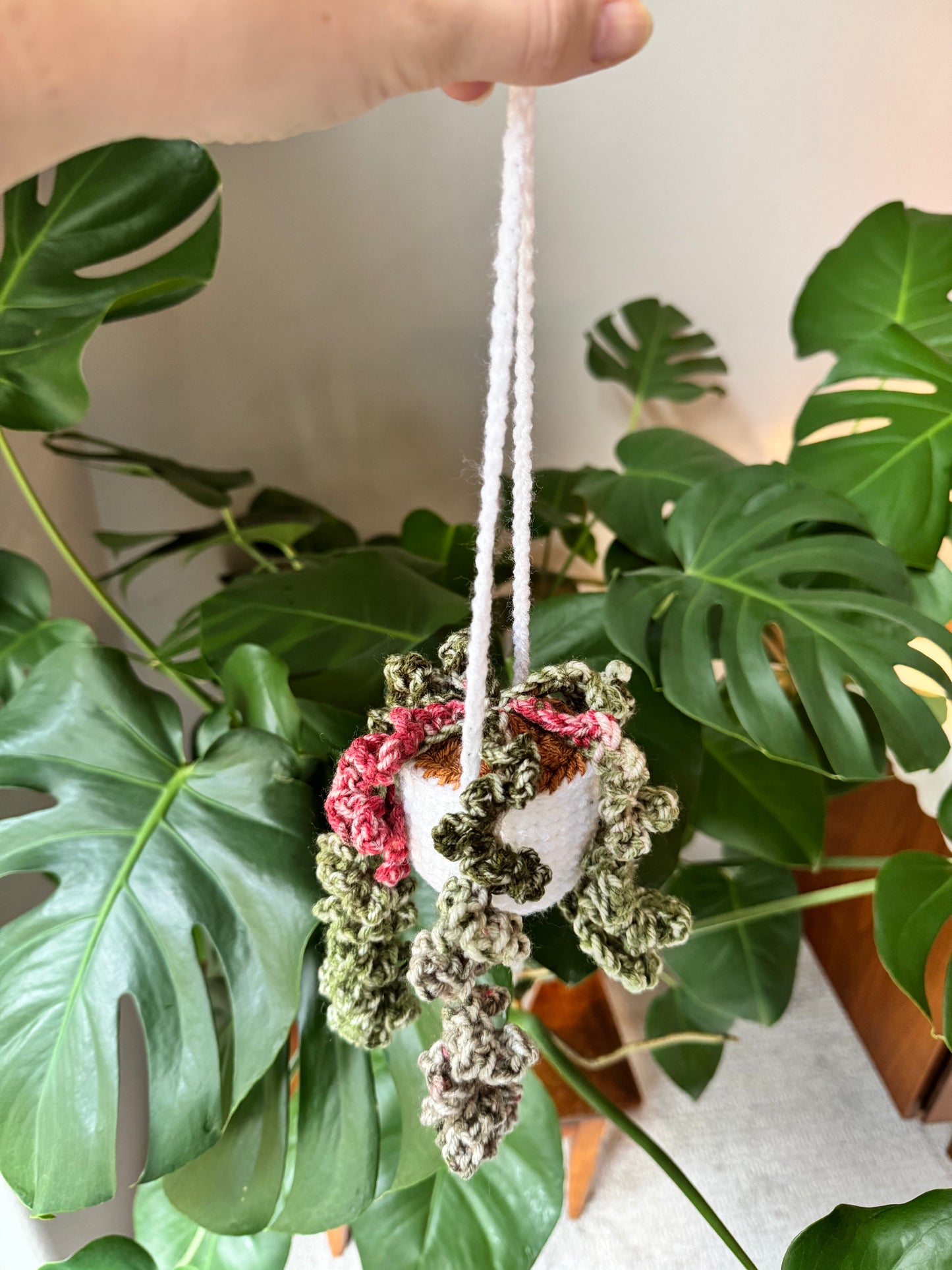 Handmade hanging plant