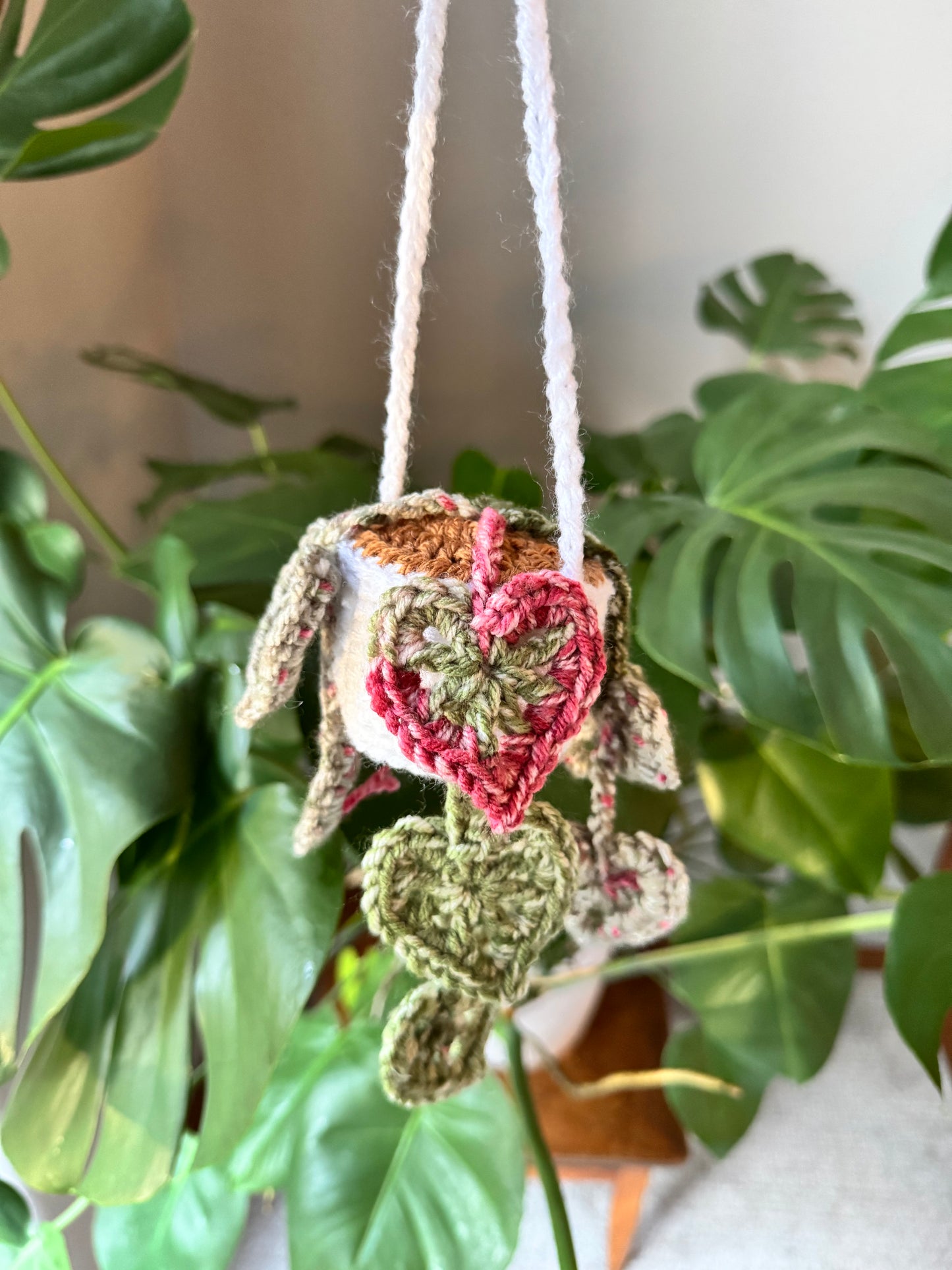 Handmade monstera hanging plant