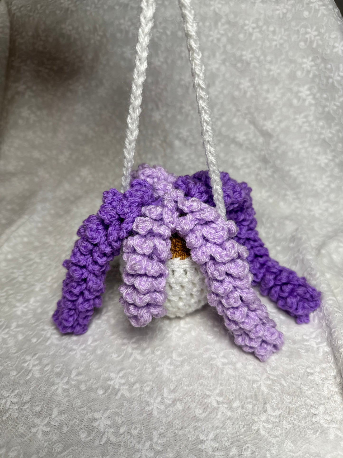Wisteria Plant