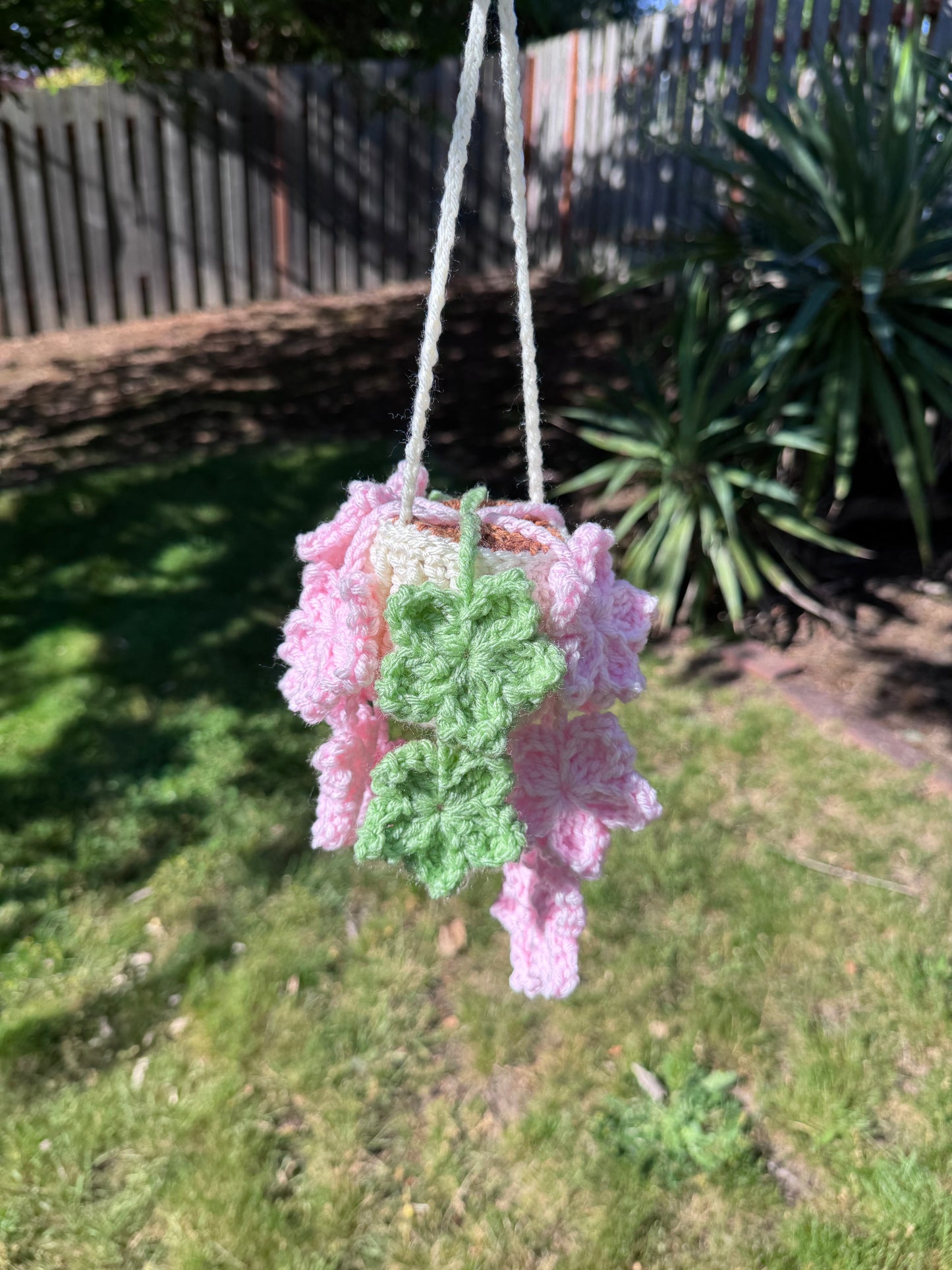 Tree Star Hanging Plant