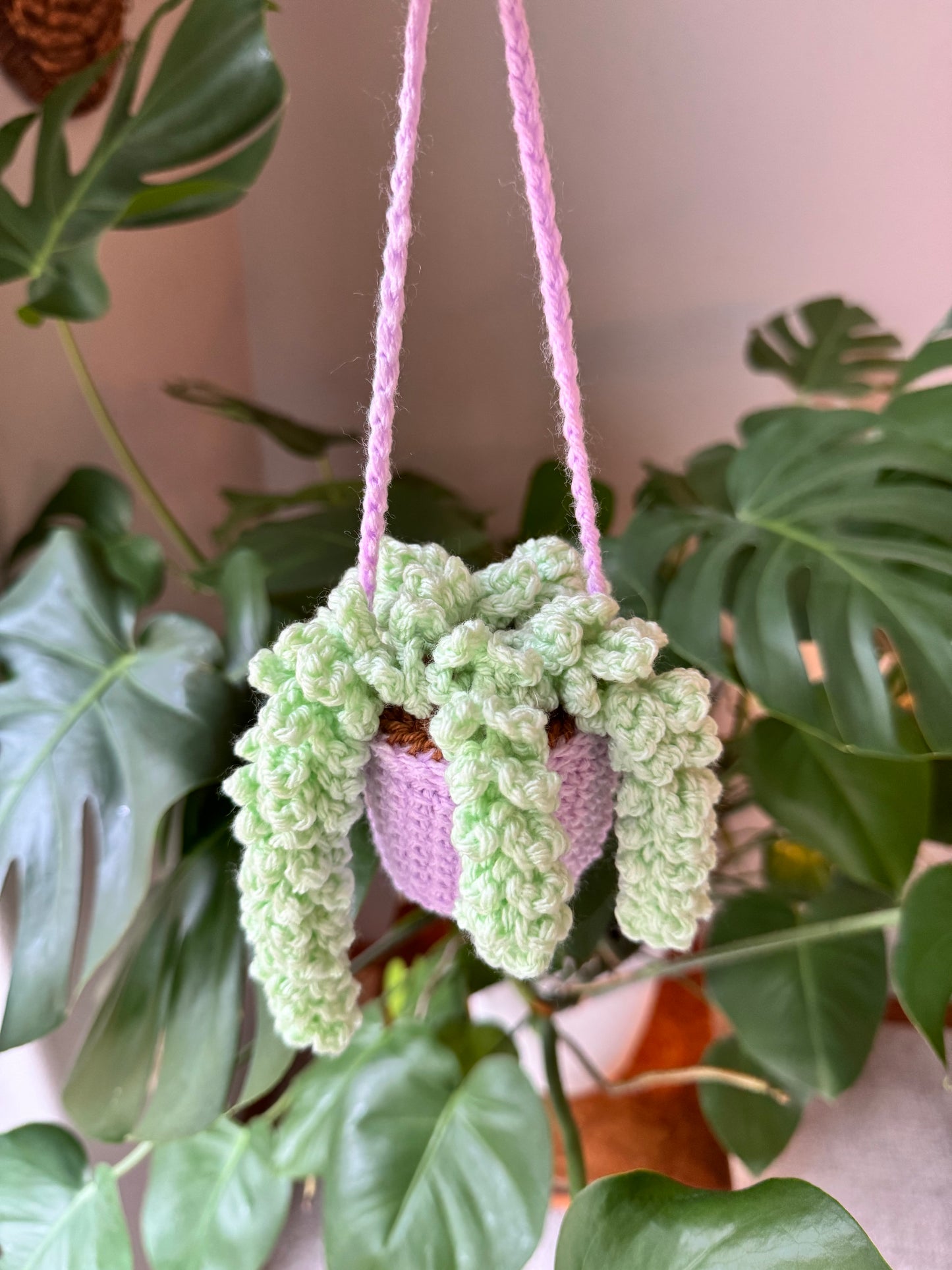 Wisteria Hanging Plant