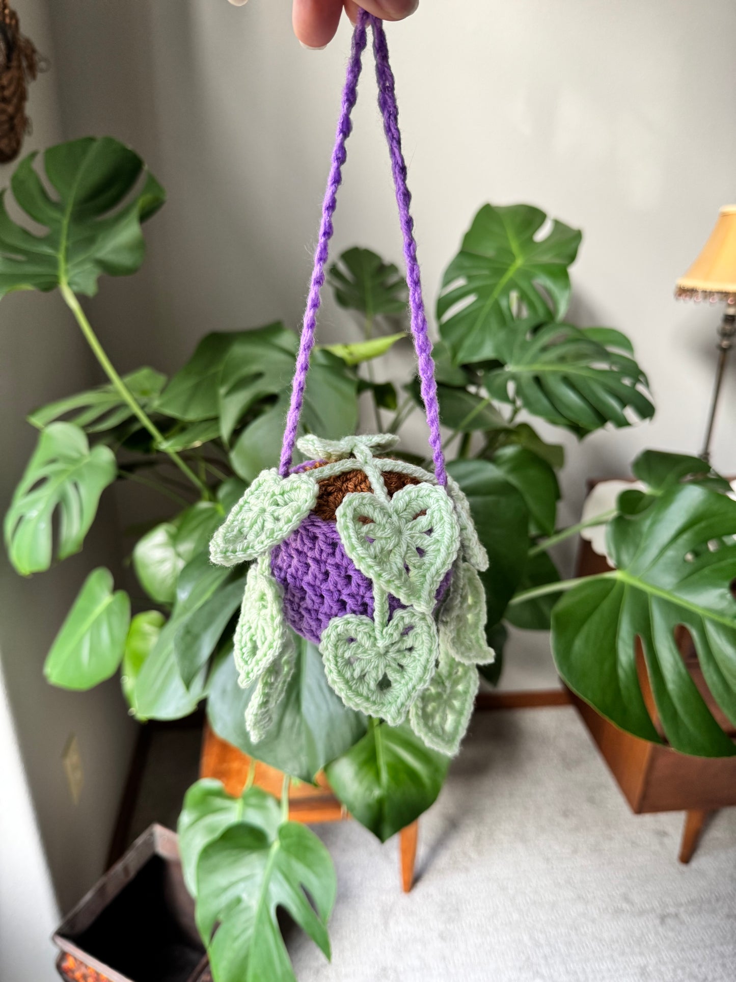 Monstera Hanging Plant
