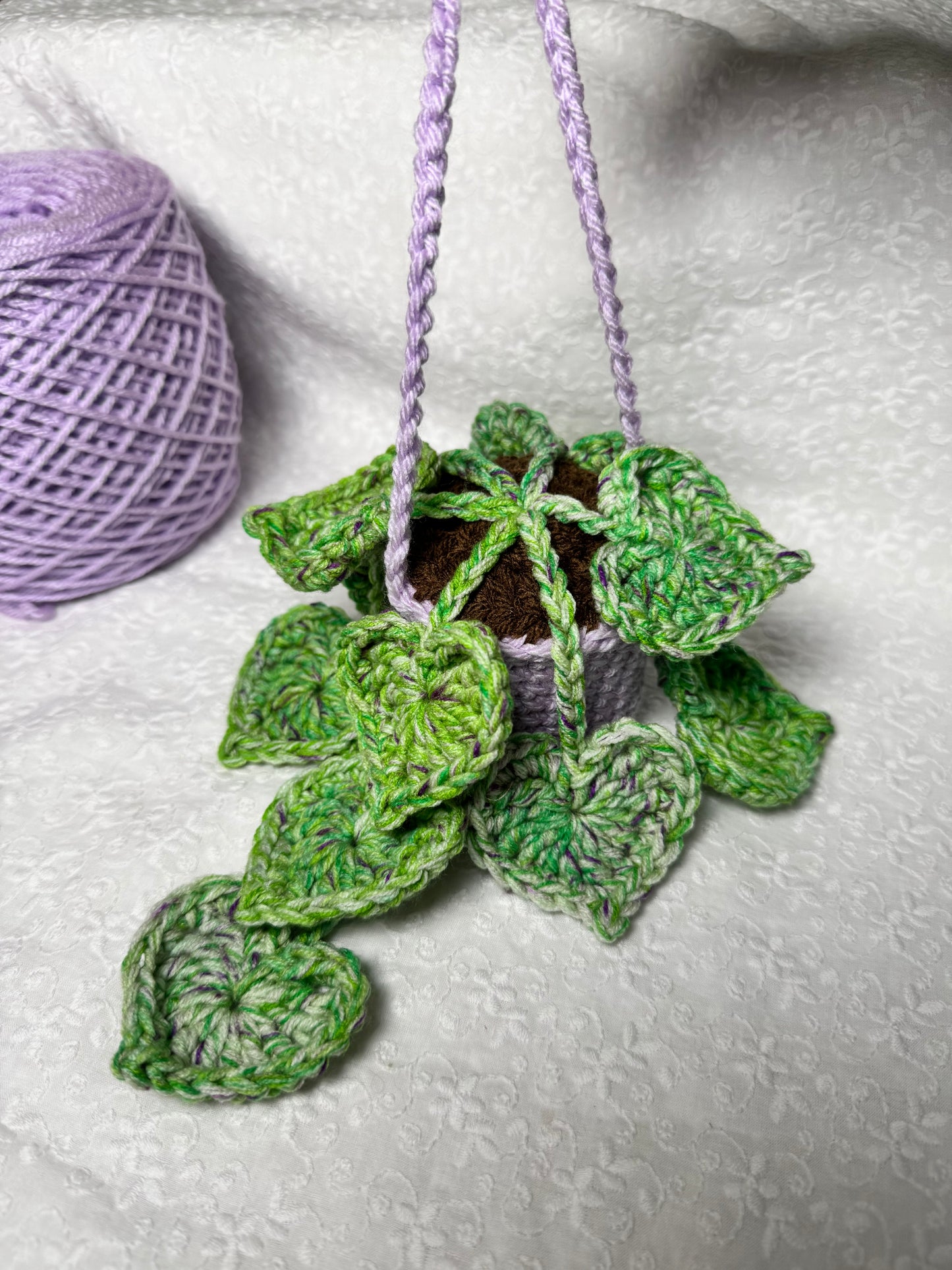 String of Hearts Hanging Plant