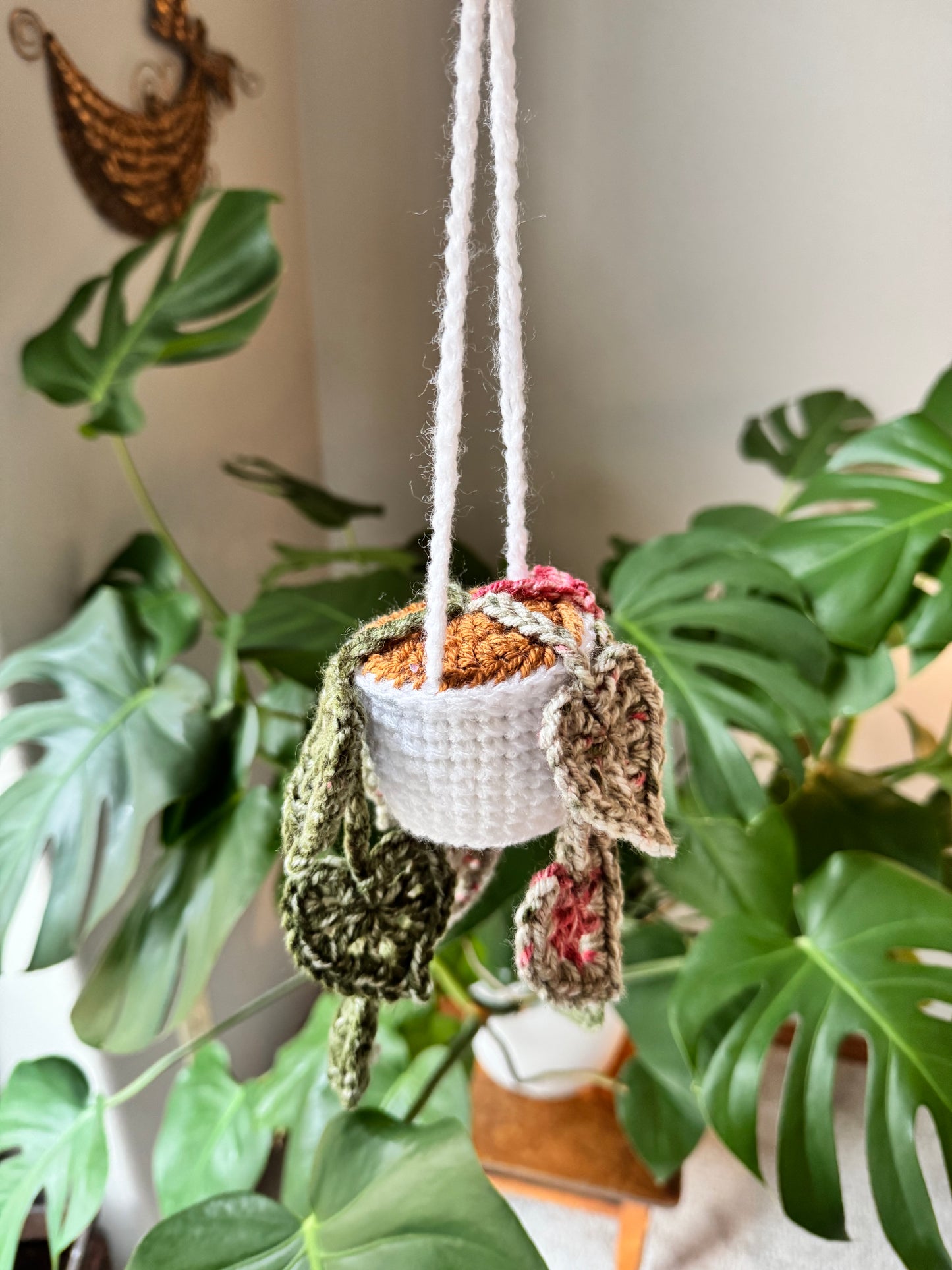 Handmade monstera hanging plant