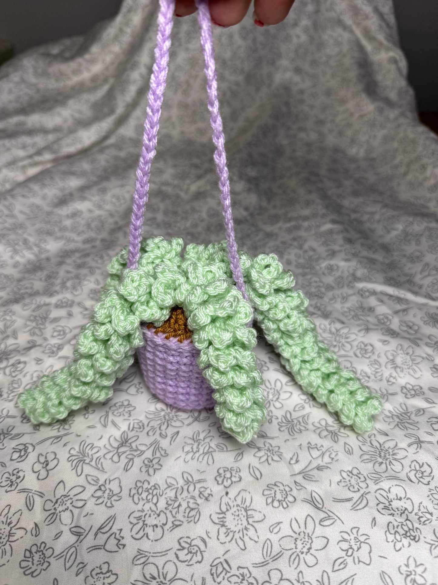 Wisteria Hanging Plant