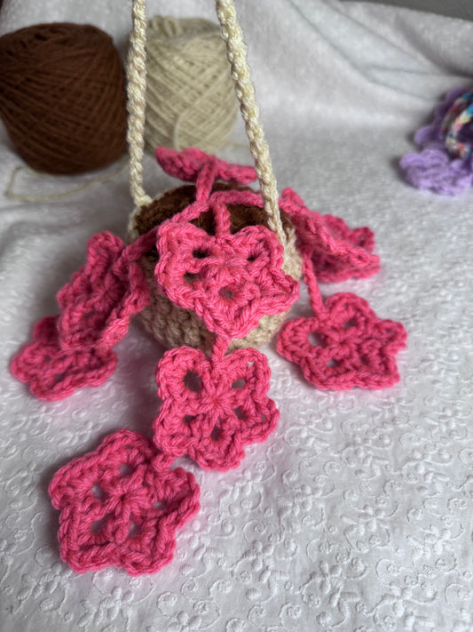 Starfall Hanging Plant