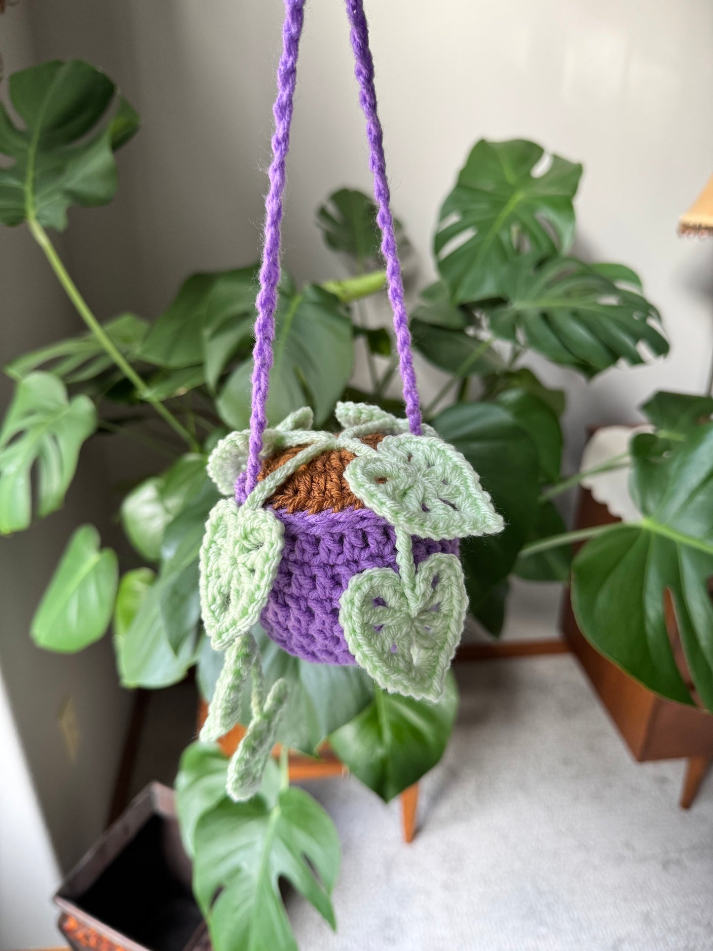 Monstera Hanging Plant