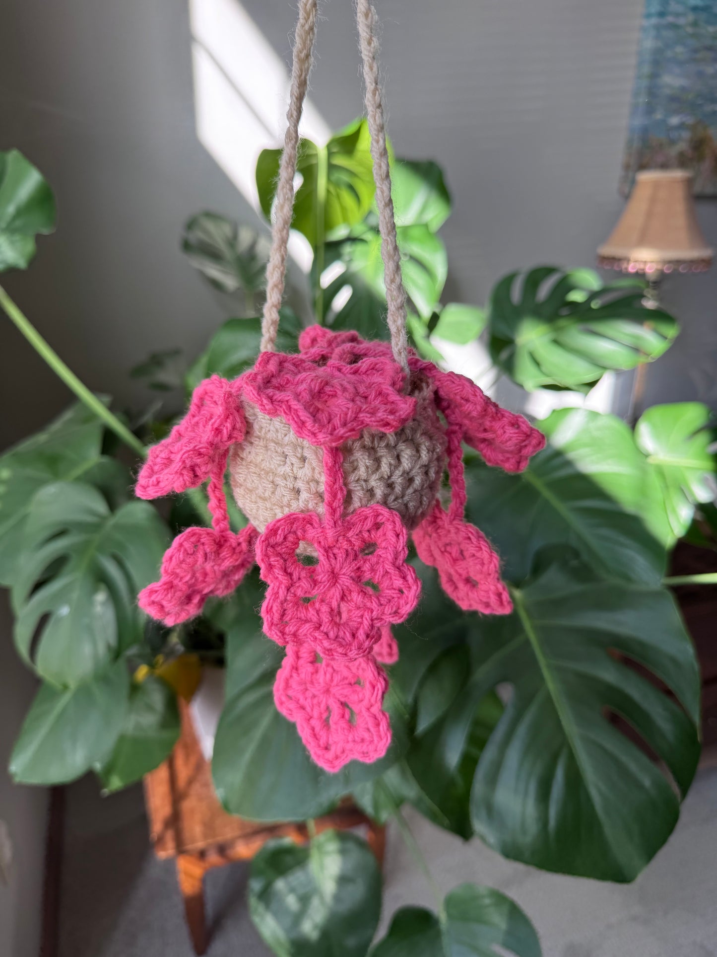 Starfall Hanging Plant