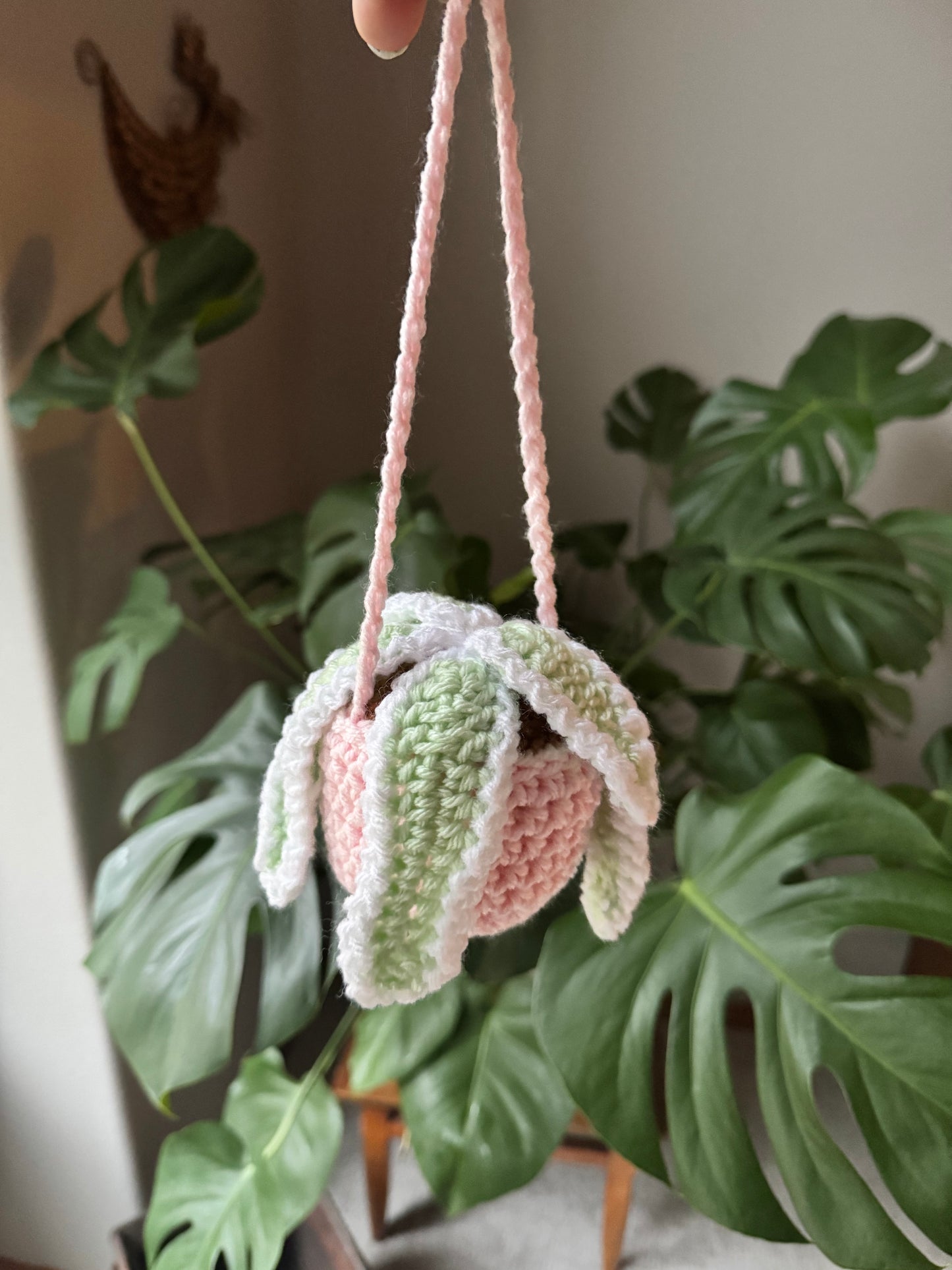 Crochet Spider Plant