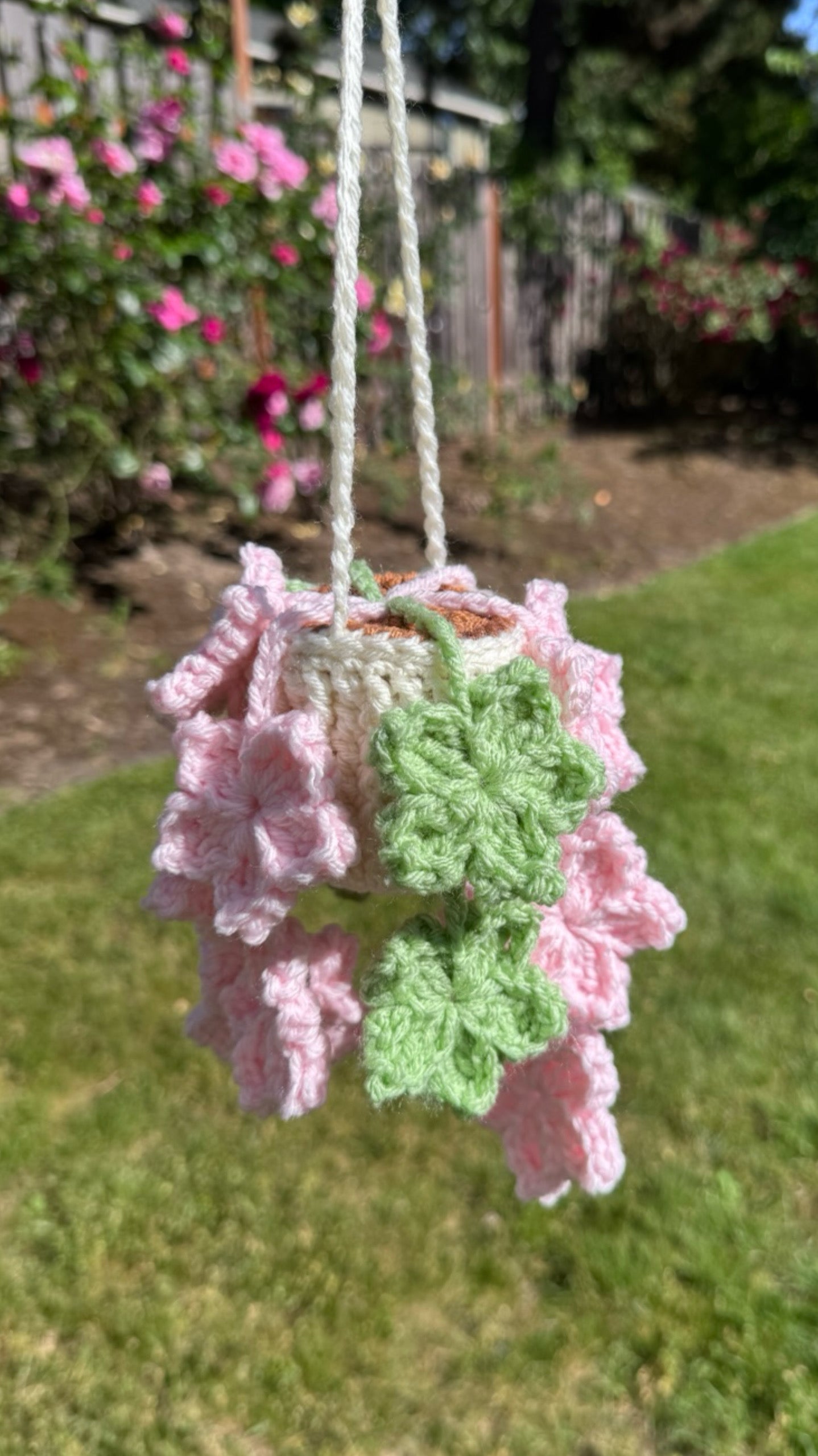 Tree Star Hanging Plant