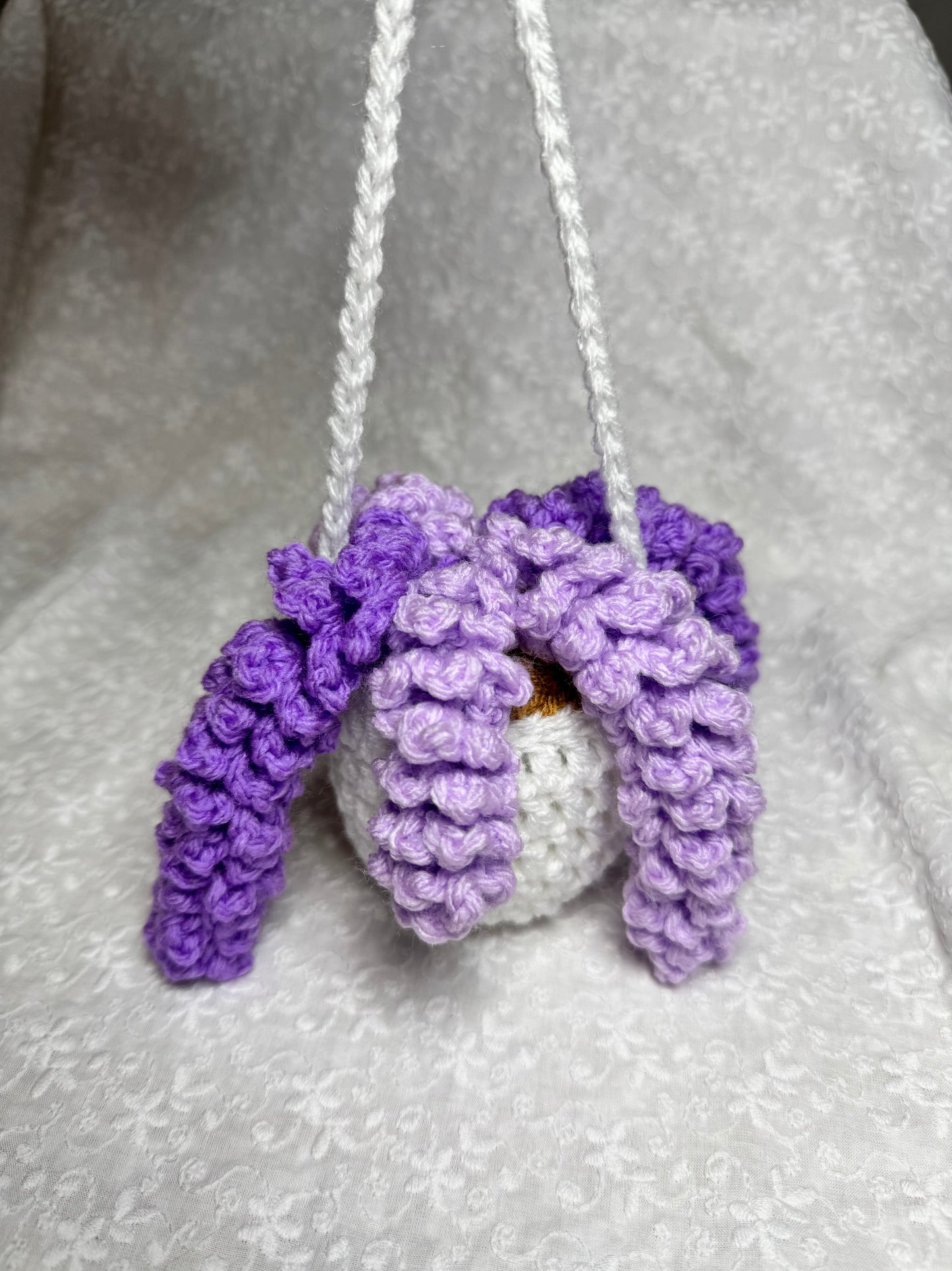 Wisteria Plant