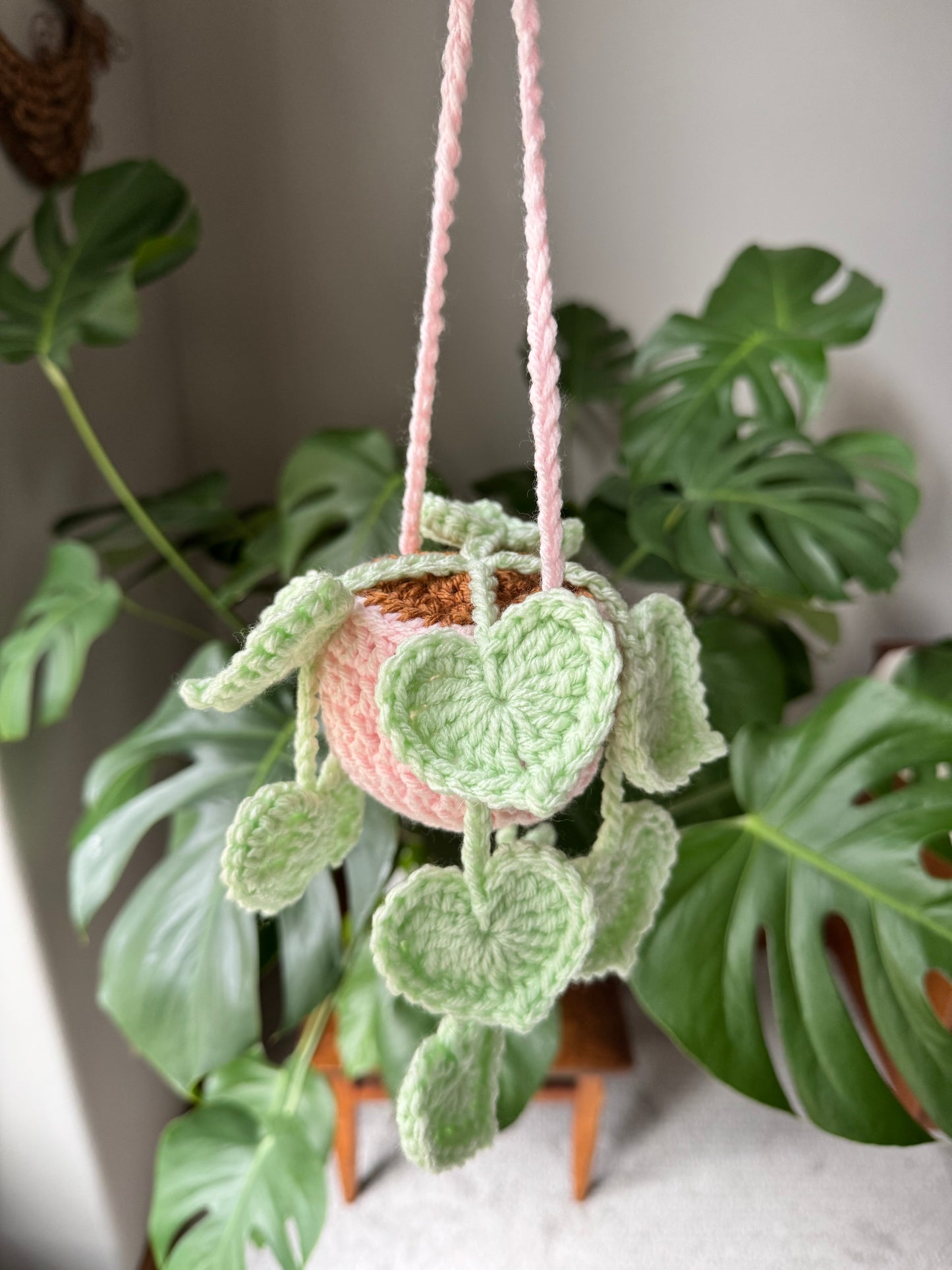 String of Hearts Plant