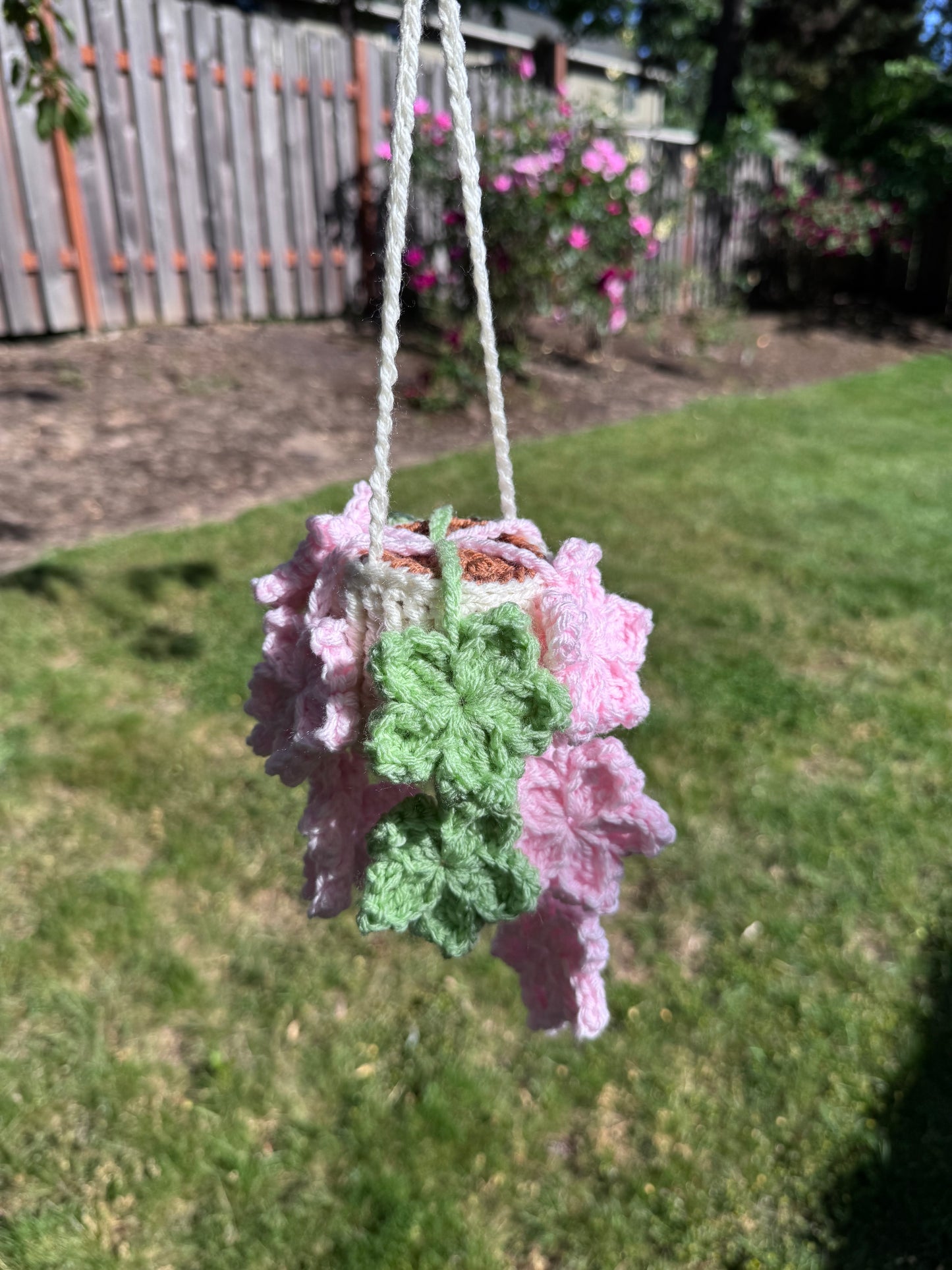 Tree Star Hanging Plant