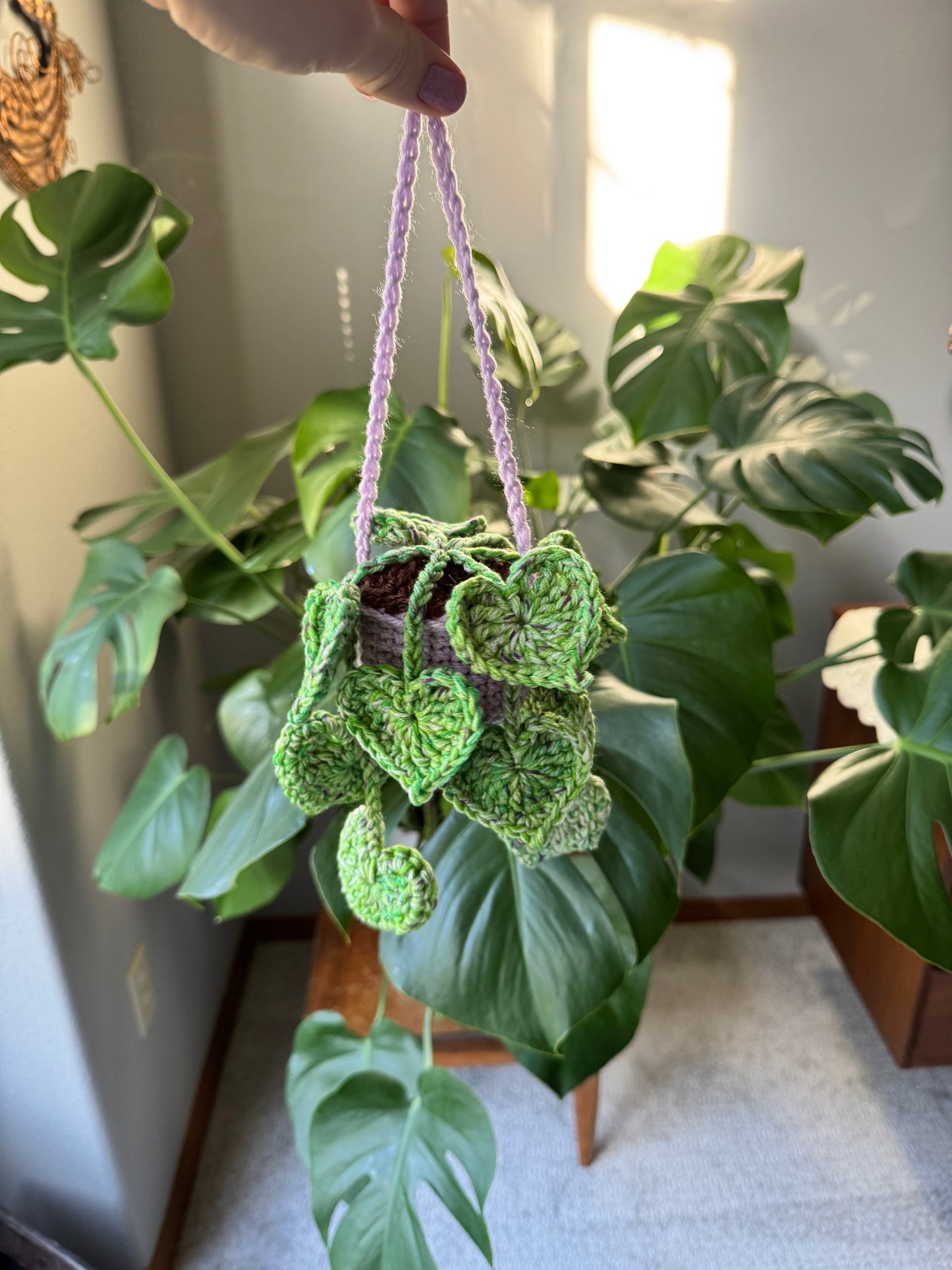 String of Hearts Hanging Plant