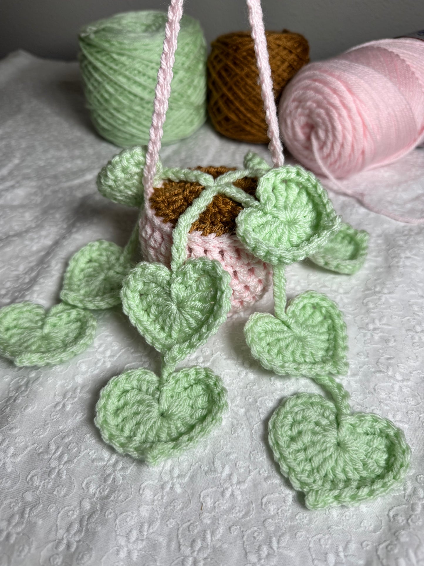 String of Hearts Plant