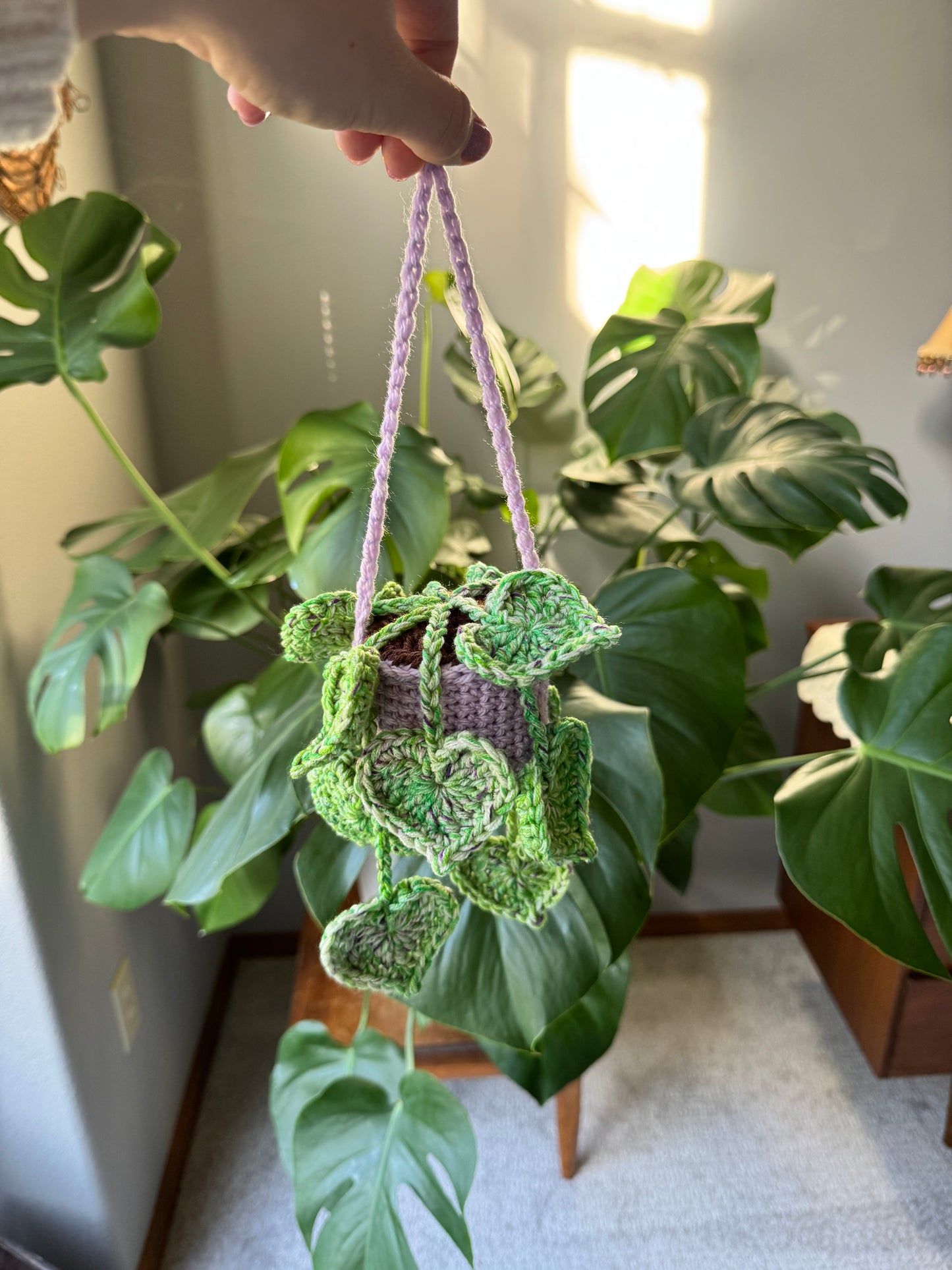 String of Hearts Hanging Plant