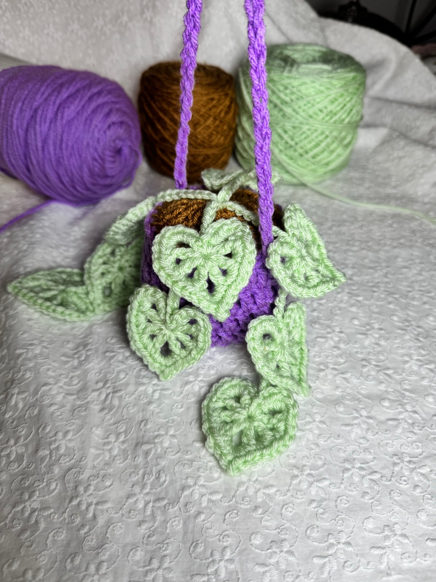 Monstera Hanging Plant