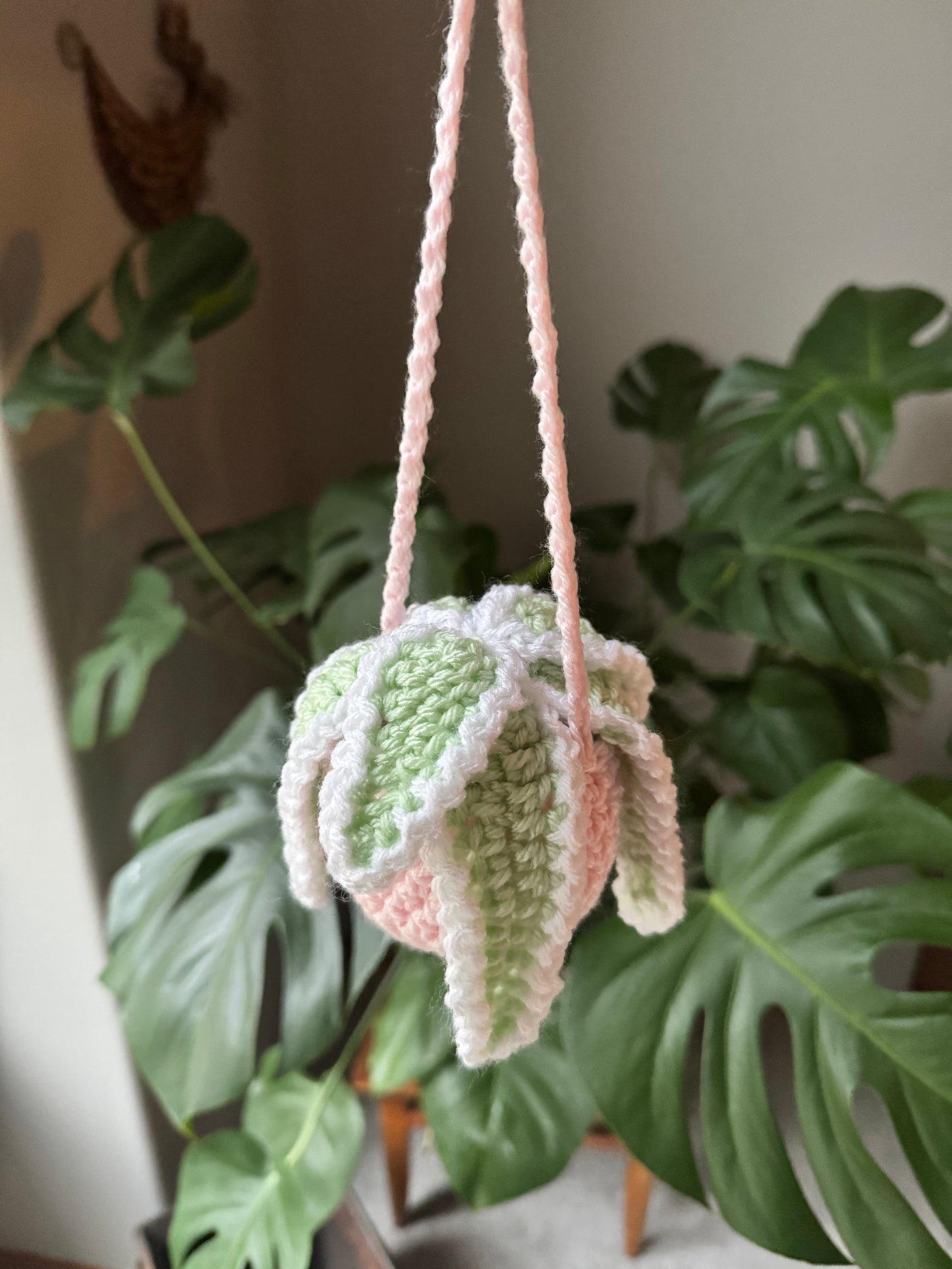 Crochet Spider Plant