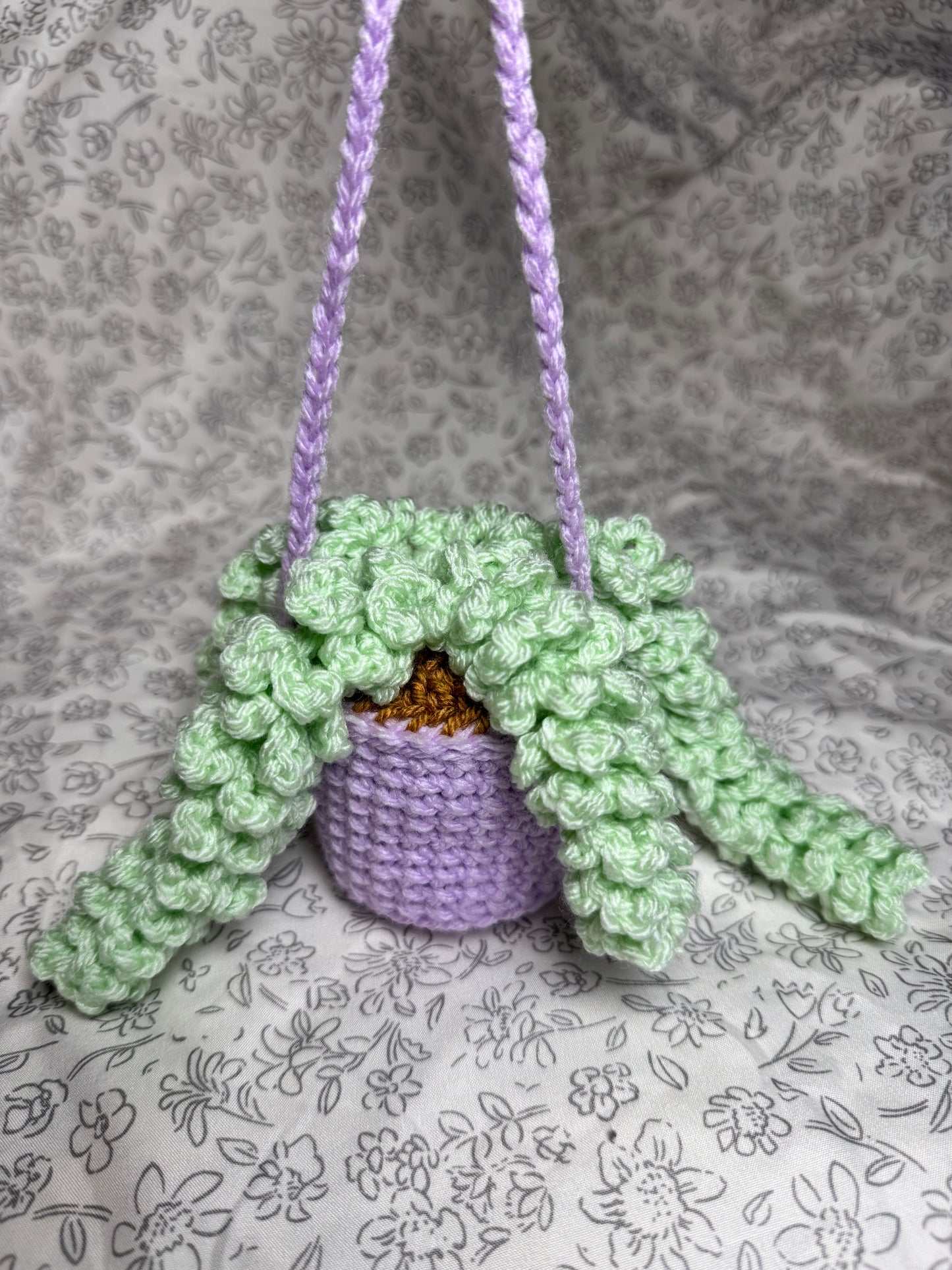 Wisteria Hanging Plant