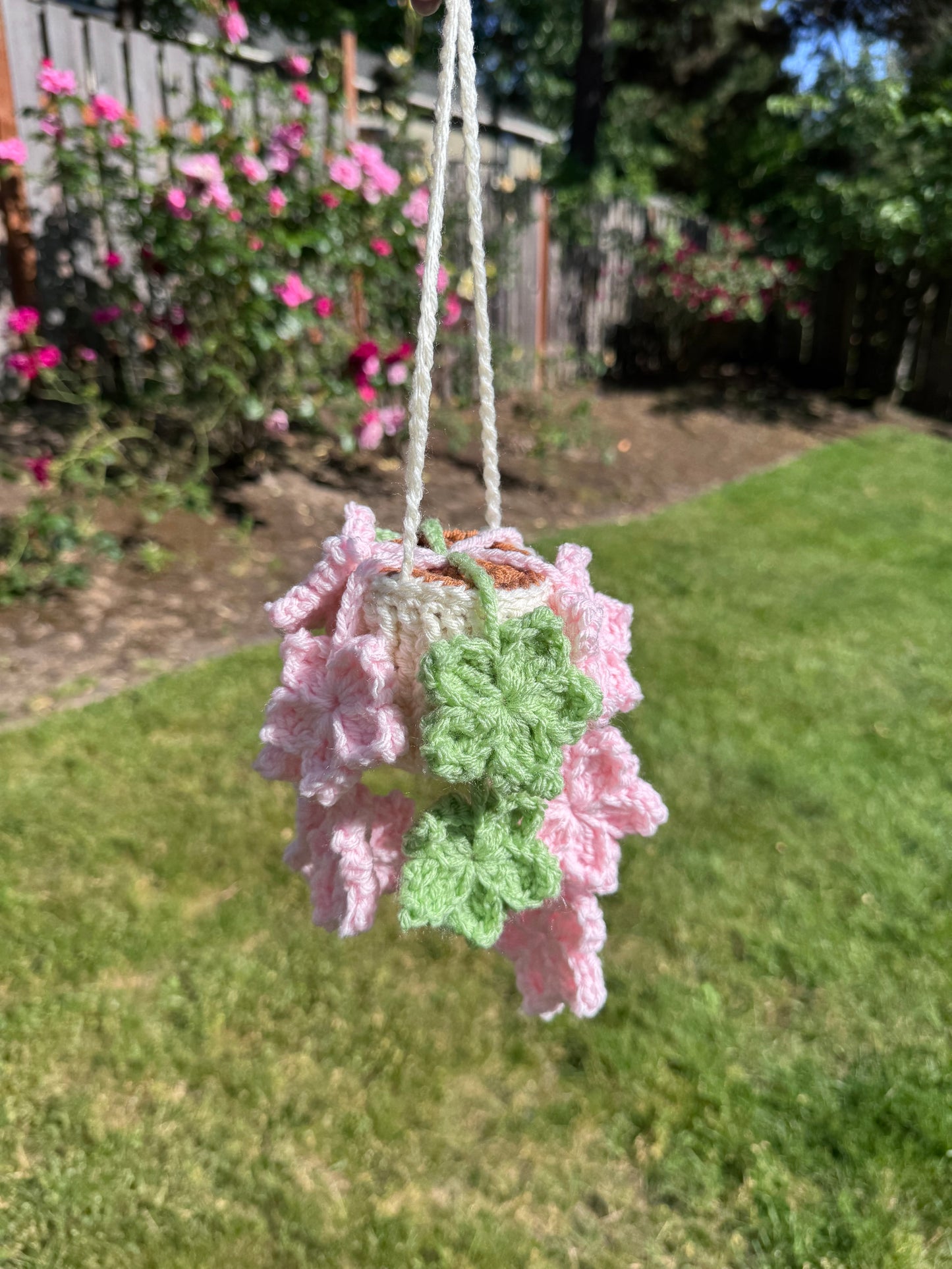 Tree Star Hanging Plant