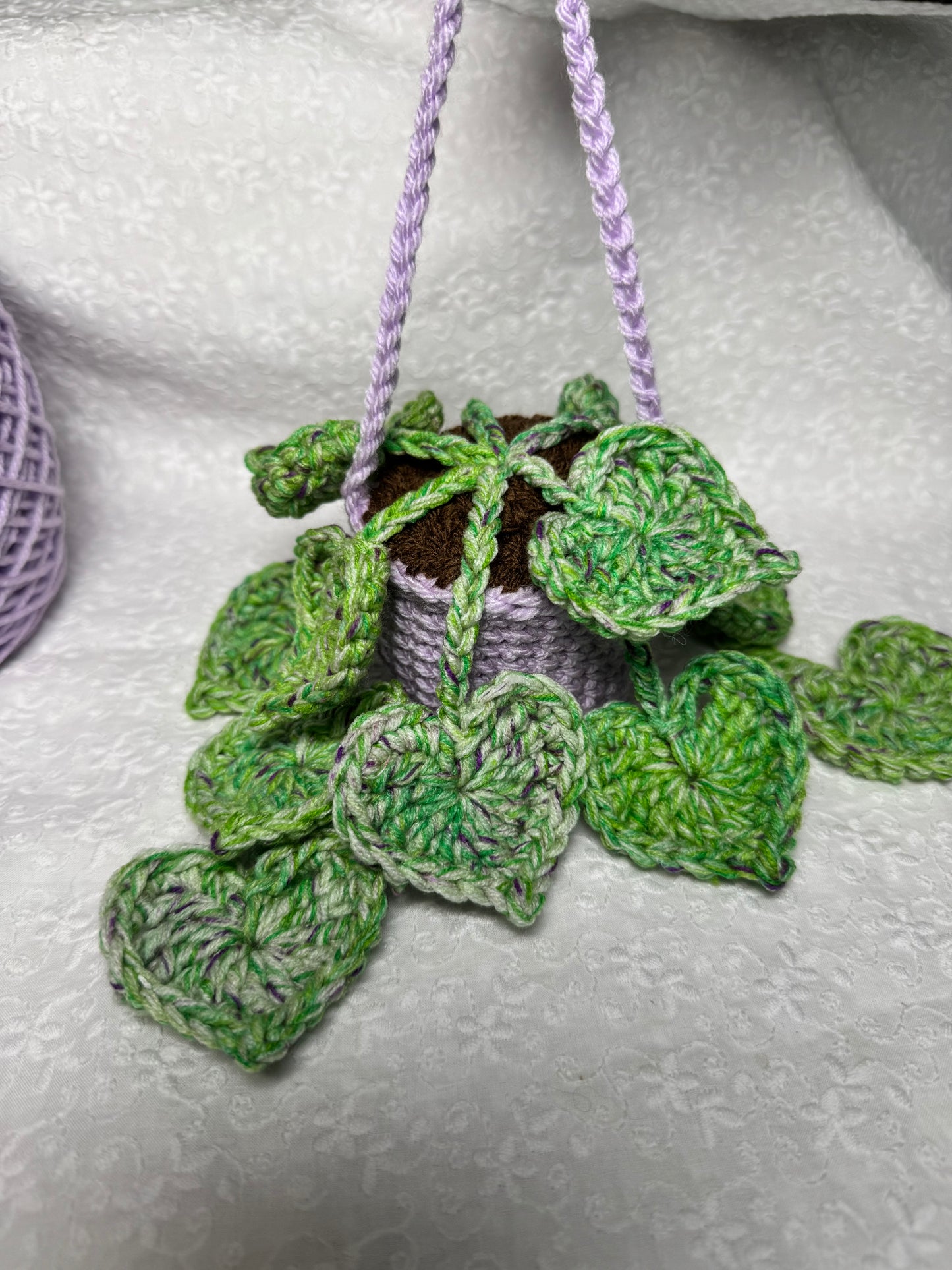 String of Hearts Hanging Plant