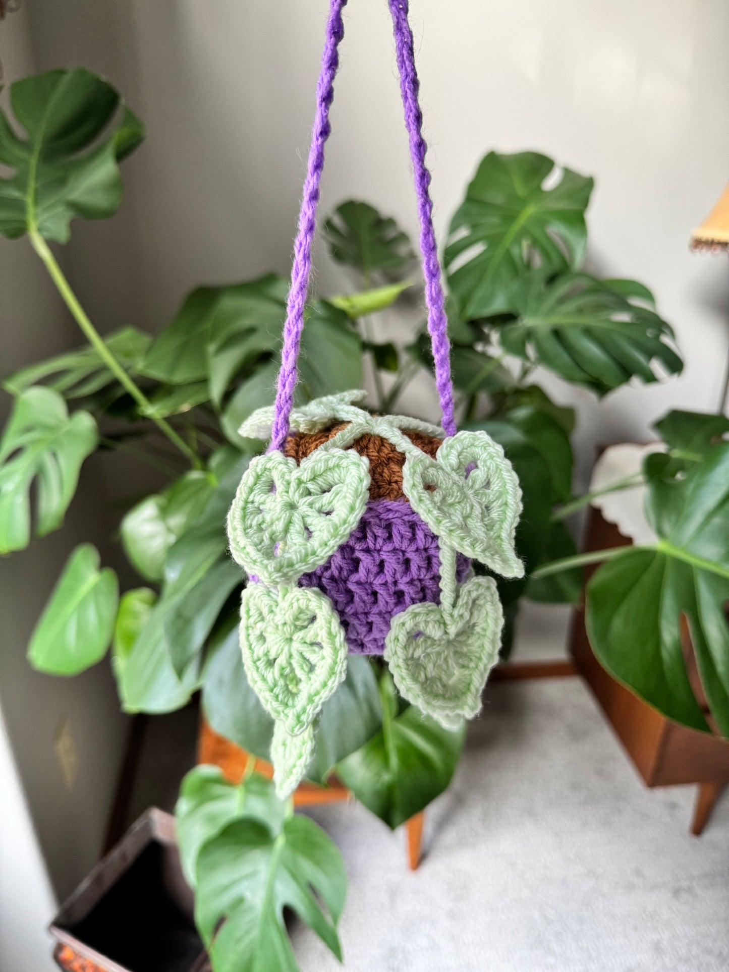 Monstera Hanging Plant