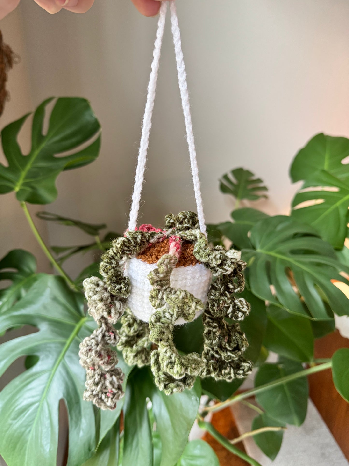 Handmade hanging plant
