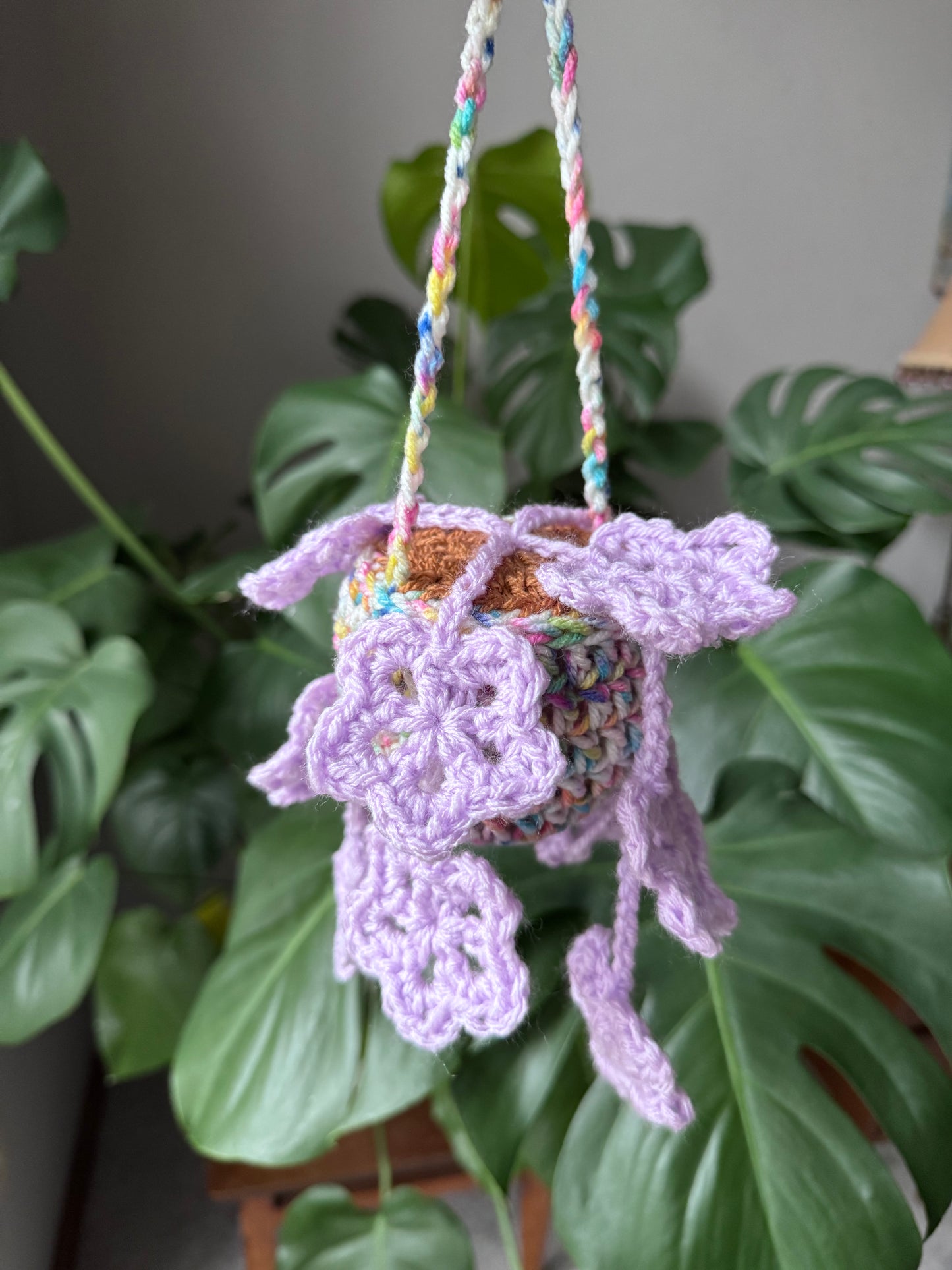 Starfall Hanging Plant