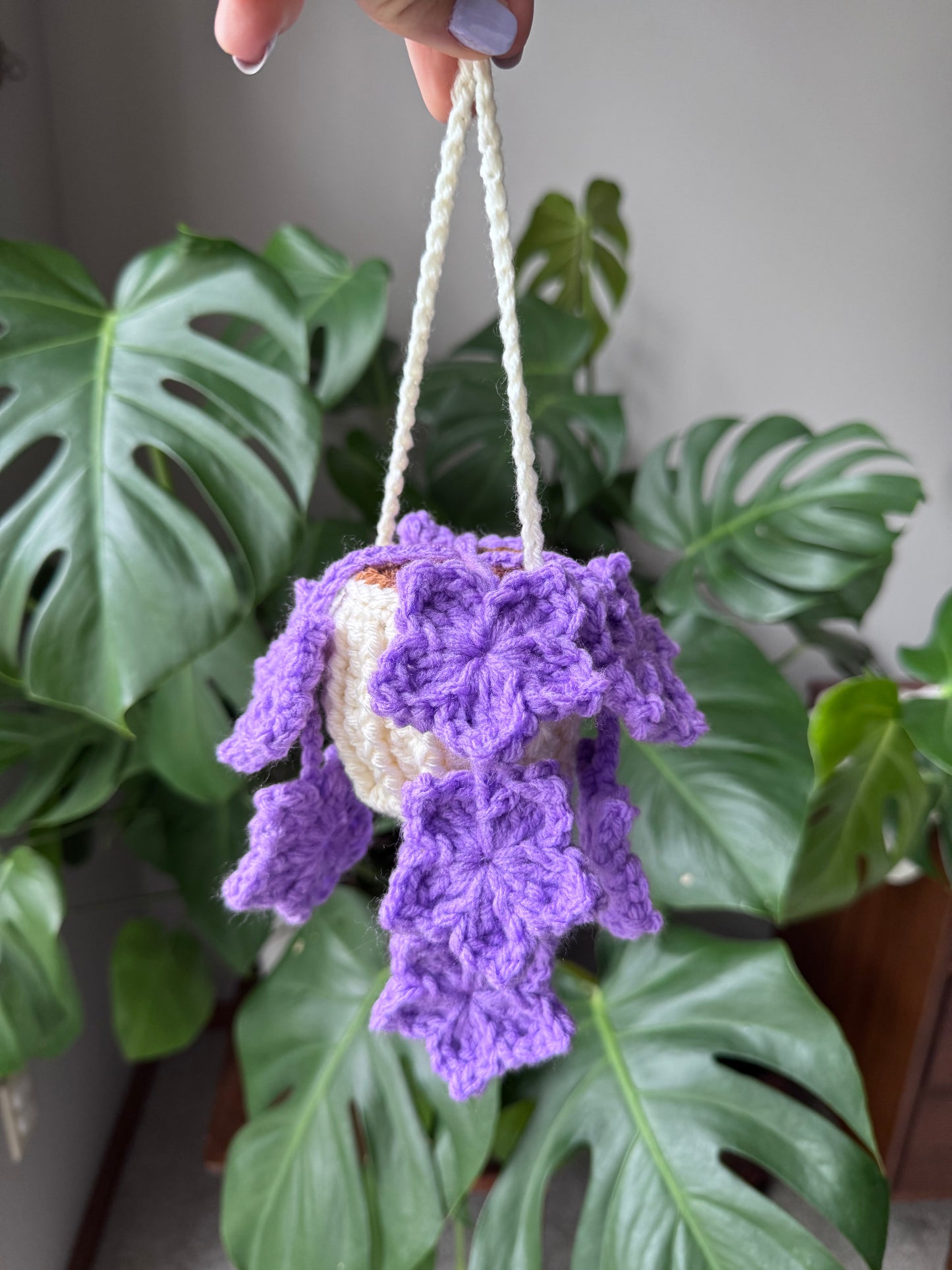 Tree Star Hanging Plant