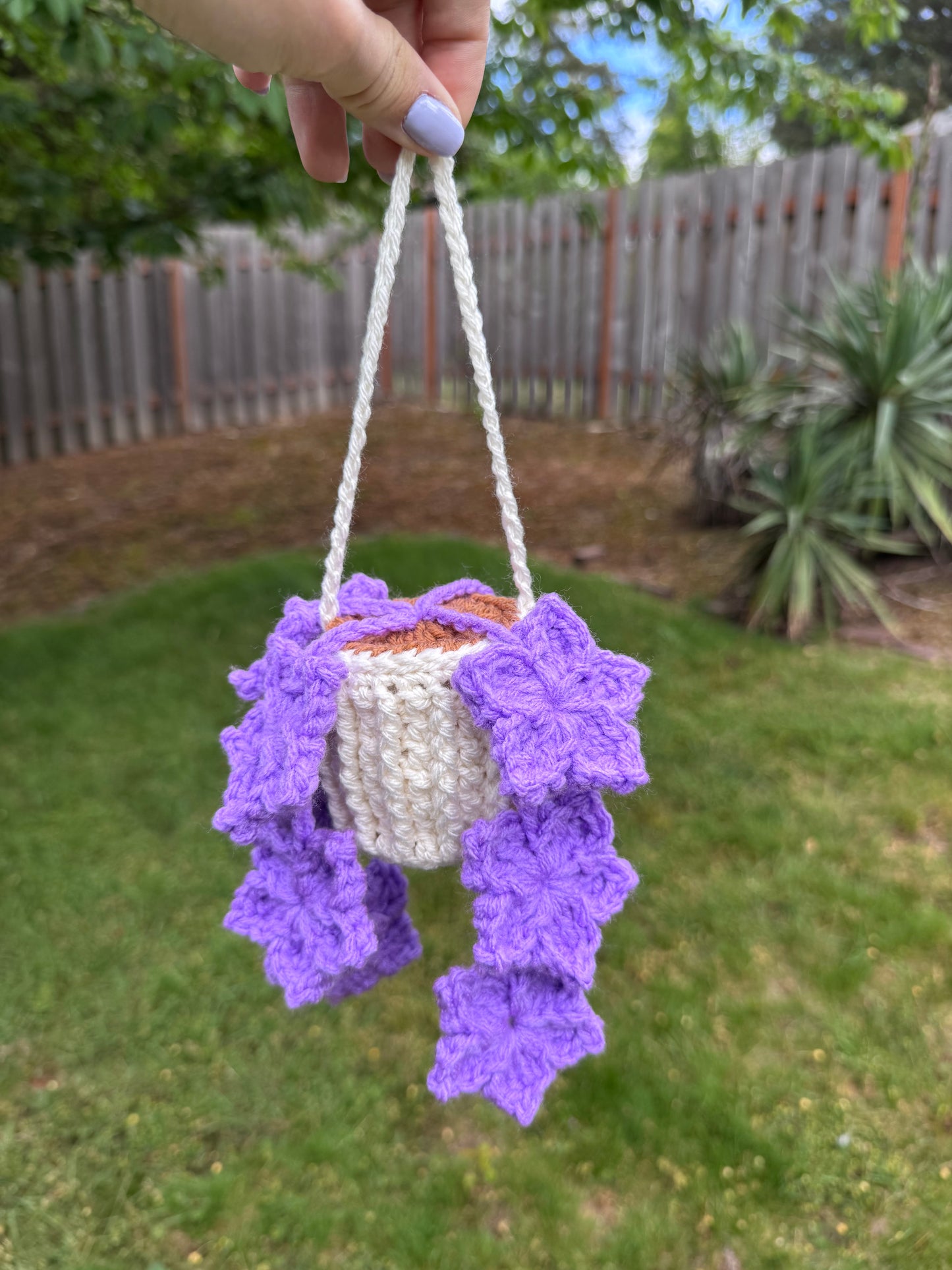 Tree Star Hanging Plant