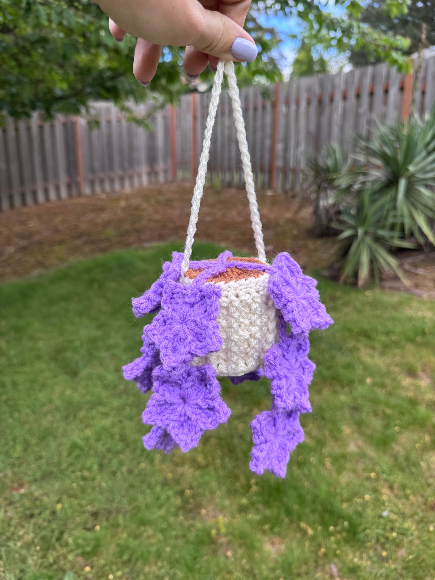Tree Star Hanging Plant