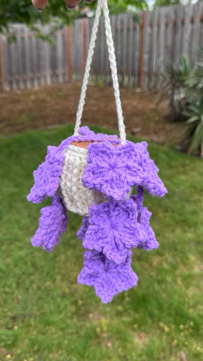 Tree Star Hanging Plant