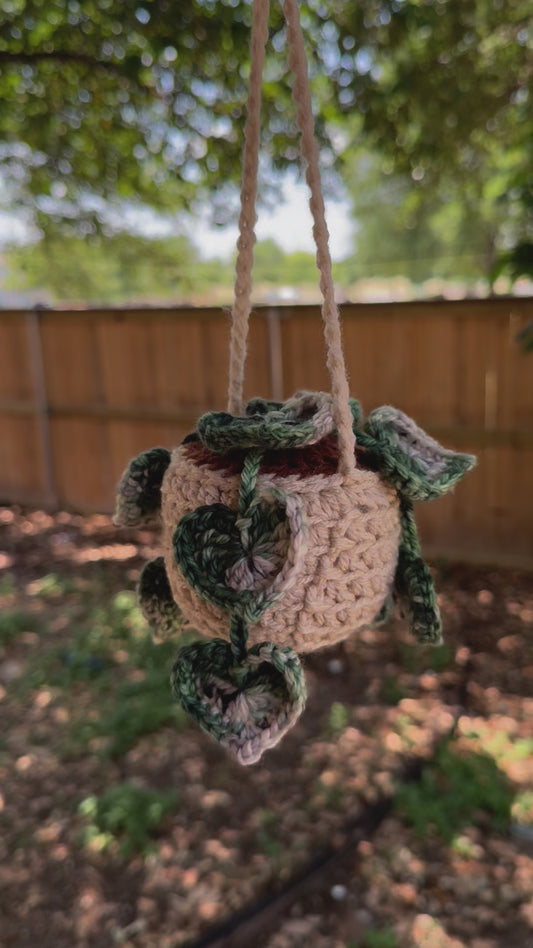 String of Hearts Crochet Plant