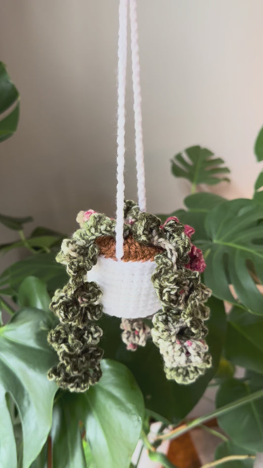 Handmade hanging plant